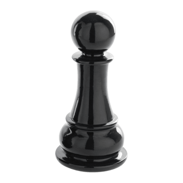 Public Schools Chess Development